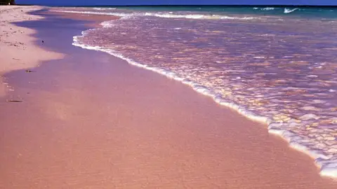 Pink Sands Beach Pink Sands Beach