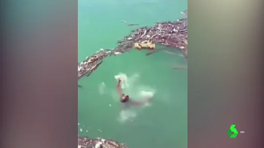 Un hombre ahogándose en un río en Nueva York. Un hombre ahogándose en un río en Nueva York.