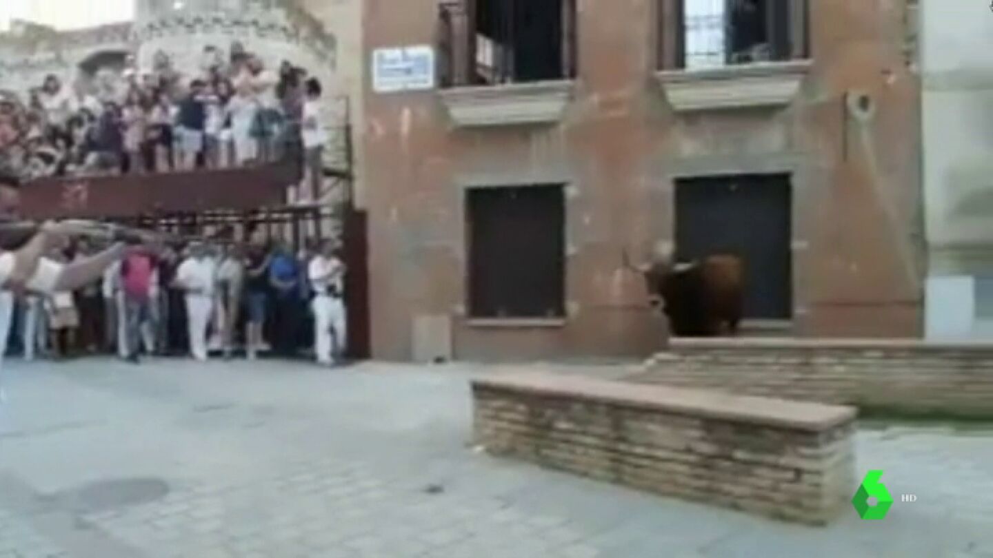 Matan a tiros y en p&uacute;blico al 'toro de Coria'