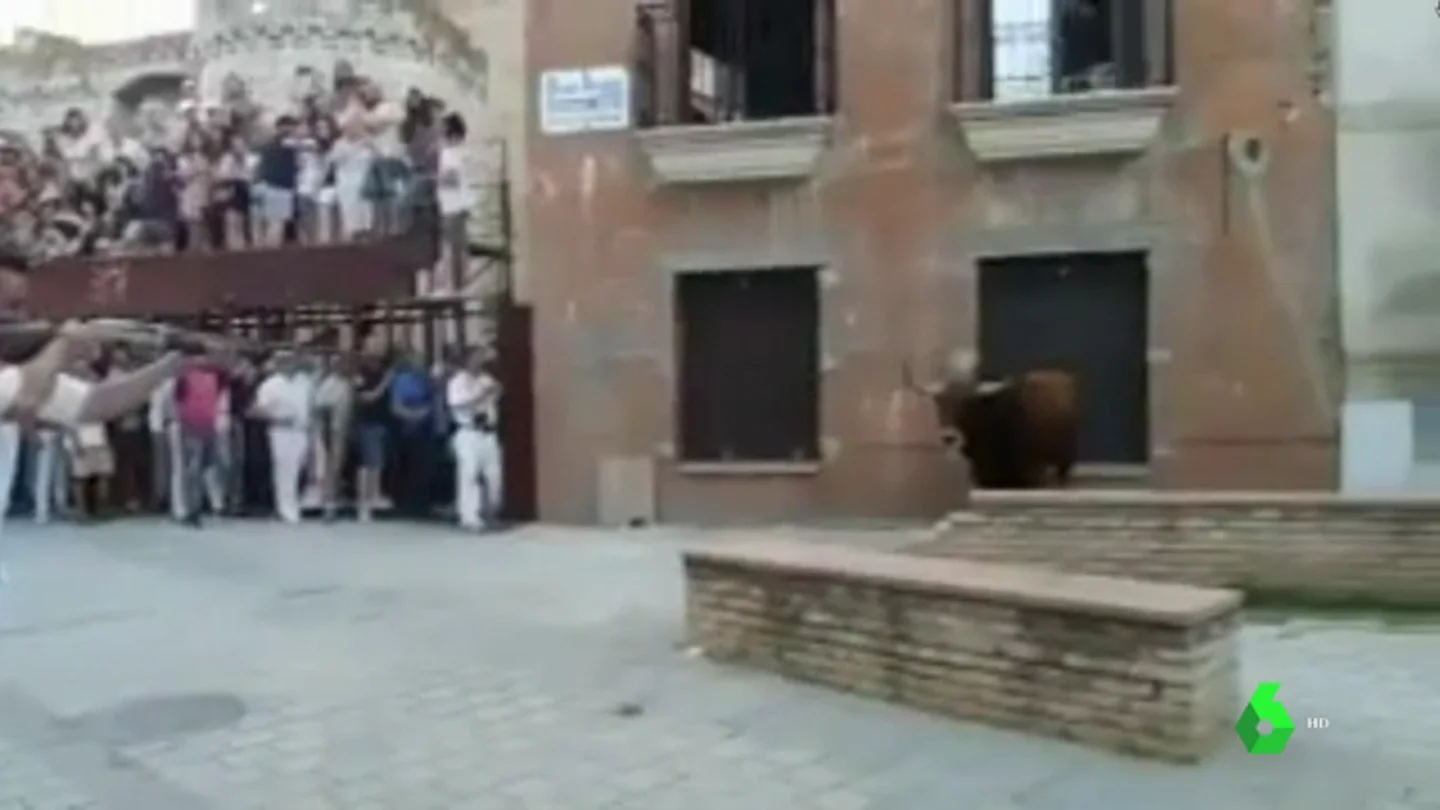 Matan a tiros y en público al 'toro de Coria' Matan a tiros y en público al 'toro de Coria'