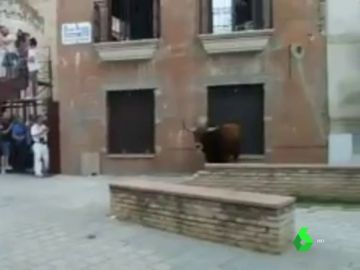 Matan a tiros y en público al 'toro de Coria'