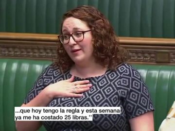 Una diputada británica en el Parlamento Una diputada británica en el Parlamento