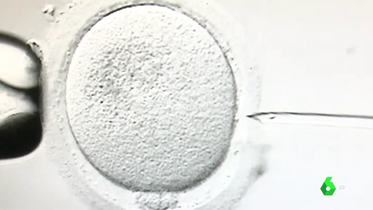 España crea un registro para controlar las donaciones de semen y óvulos: el donante no podrá engendrar más de seis hijos España crea un registro para controlar las donaciones de semen y óvulos: el donante no podrá engendrar más de seis hijos