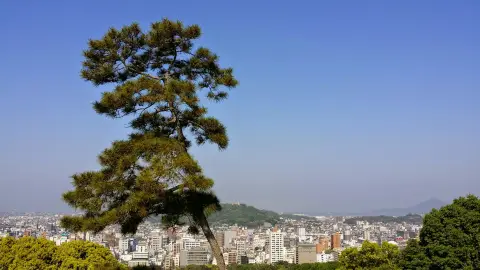 Camino de Shikoku, Japón Rutas de peregrinación