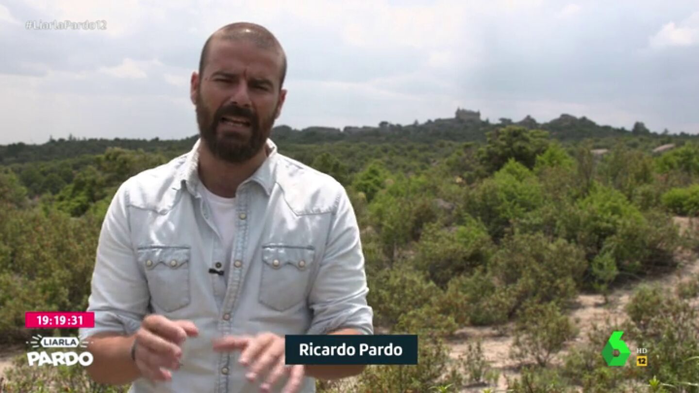 Ricardo Pardo