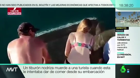 Un tiburón ataca a una turista Un tiburón ataca a una turista
