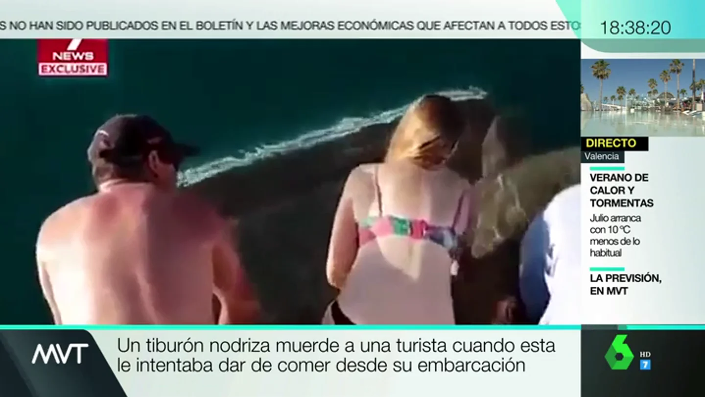 Un tiburón ataca a una turista Un tiburón ataca a una turista