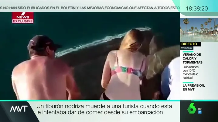 Un tiburón ataca a una turista