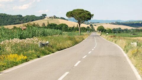 7 países ideales para hacer un roadtrip