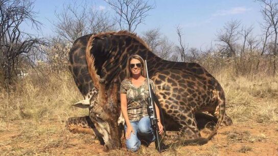 Tess Thompson Talley posa junto a un jirafa muerta