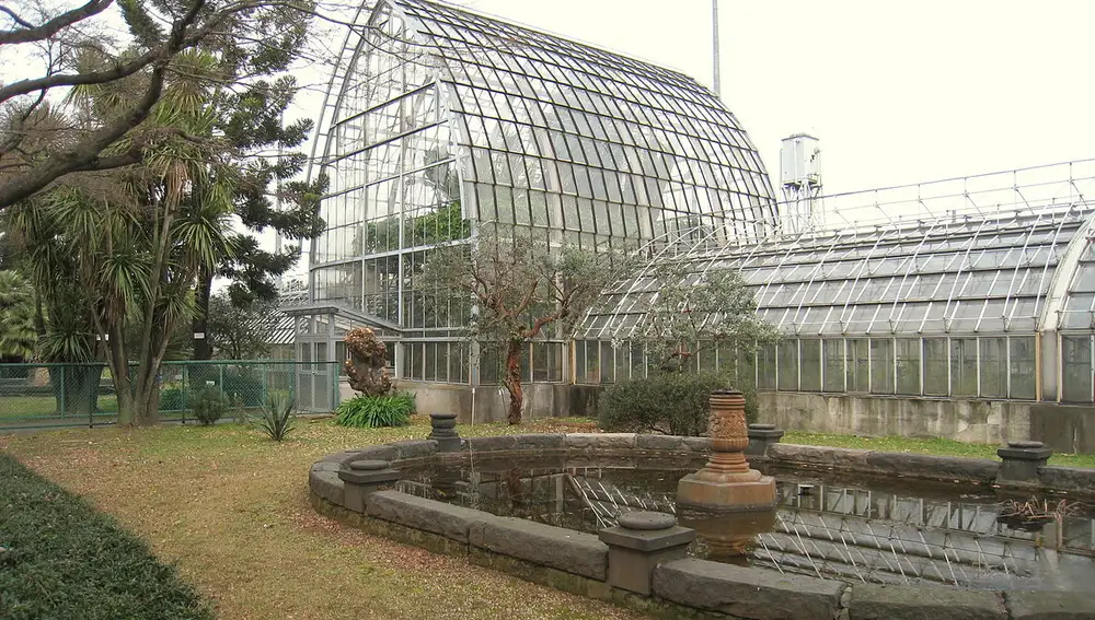 Jardín Botánico de Koishikawa de Tokio