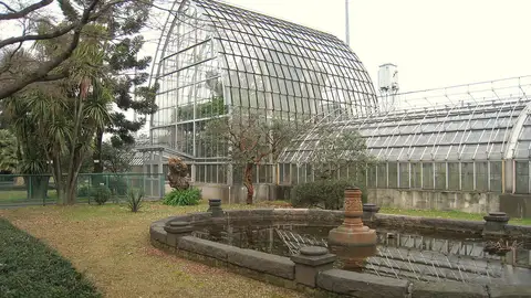 Jardín Botánico de Koishikawa de Tokio Jardines Botánicos