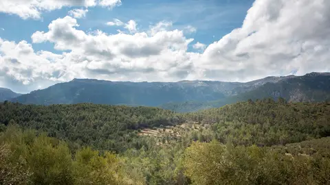 Sierra de Segura Cinco motivos para pasar tus vacaciones en la montaña