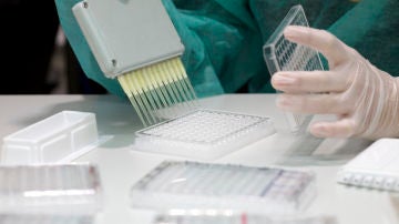 multipipeta para manipular muchas muestras a la vez
