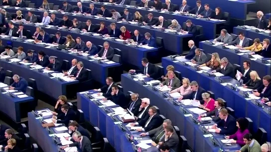eurocámara eurocámara
