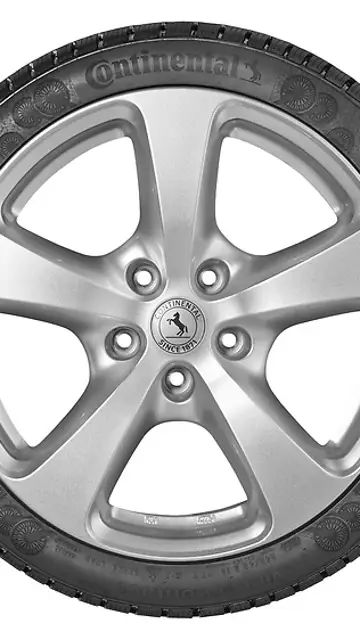 Primer neumático con caucho de diente de león Primer neumático con caucho de diente de león