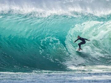 Man fined for surfing with a python wrapped around his neck in Australia