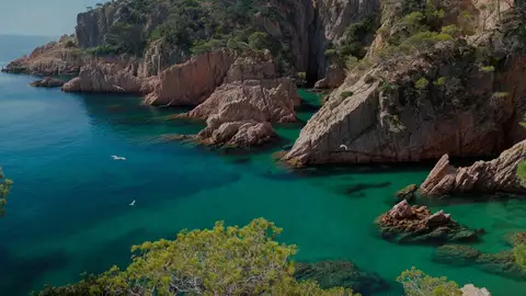 Cala Maset Las mejores playas con agua cristalina para practicar snorkel en España