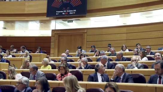Un momento de un debate de presupuestos en el pleno del Senado Un momento de un debate de presupuestos en el pleno del Senado