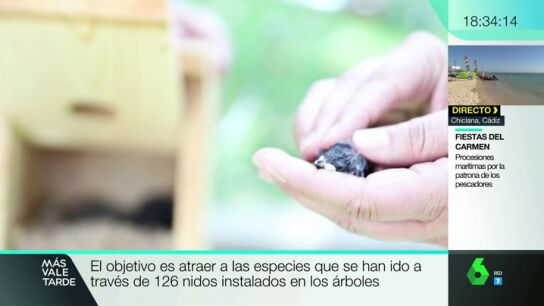 Hogar para los p&aacute;jaros en Madrid