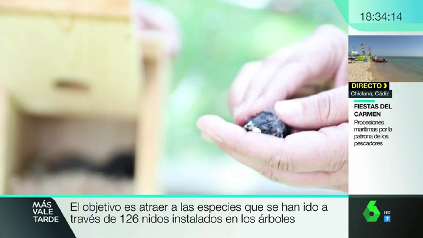 Hogar para los pájaros en Madrid Hogar para los pájaros en Madrid