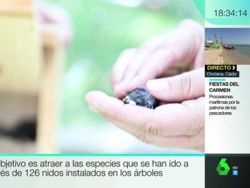 Hogar para los pájaros en Madrid Hogar para los pájaros en Madrid
