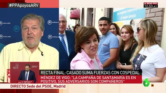 El exministro Íñigo Méndez de Vigo El exministro Íñigo Méndez de Vigo