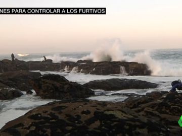 drones percebeiros drones percebeiros