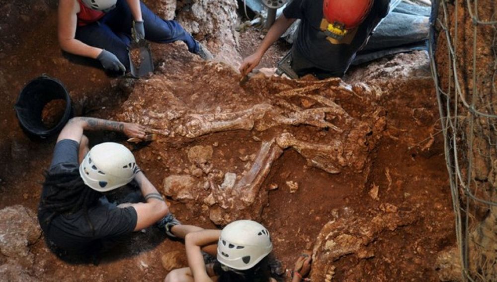 Esqueleto de rinoceronte hallado en Castelldefels