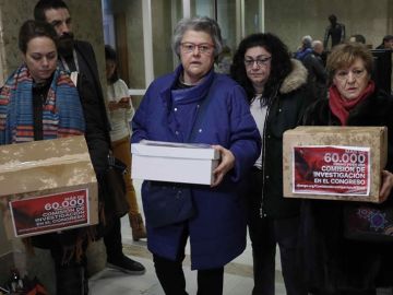 La presidenta de la asociación de las víctimas del vuelo de Spanair, Pilar Vera. La presidenta de la asociación de las víctimas del vuelo de Spanair, Pilar Vera.