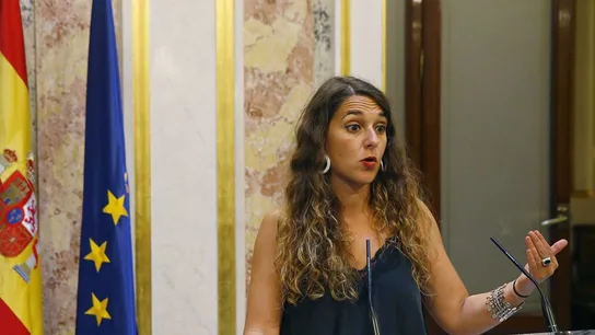 Portavoz de Podemos en el Congreso Portavoz de Podemos en el Congreso