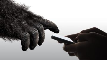 Gorilla Glass