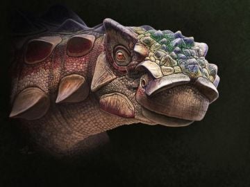 El hallazgo de un nuevo anquilosaurio arroja luz sobre su origen El hallazgo de un nuevo anquilosaurio arroja luz sobre su origen
