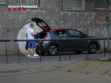 Miembro de la banda criminal de estafadores Miembro de la banda criminal de estafadores