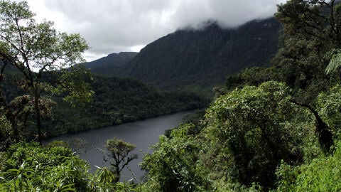 Experiencias que solo puedes vivir en Perú 