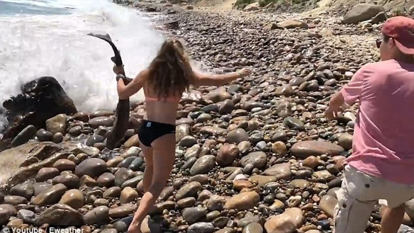 Ali capturando al tibur&oacute;n en las rocas
