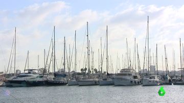 Yates en el puerto de Valencia