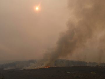 Fotografía que muestra el paisaje afectado por un incendio forestal Fotografía que muestra el paisaje afectado por un incendio forestal