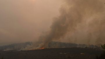 Fotografía que muestra el paisaje afectado por un incendio forestal