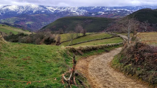 ¿Cuál es la mejor época del año para hacer el Camino de Santiago? Destinos