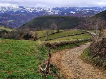 ¿Cuál es la mejor época del año para hacer el Camino de Santiago? ¿Cuál es la mejor época del año para hacer el Camino de Santiago?