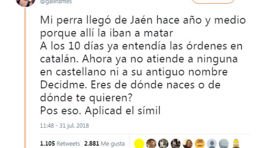 Una twittera revoluciona las redes.