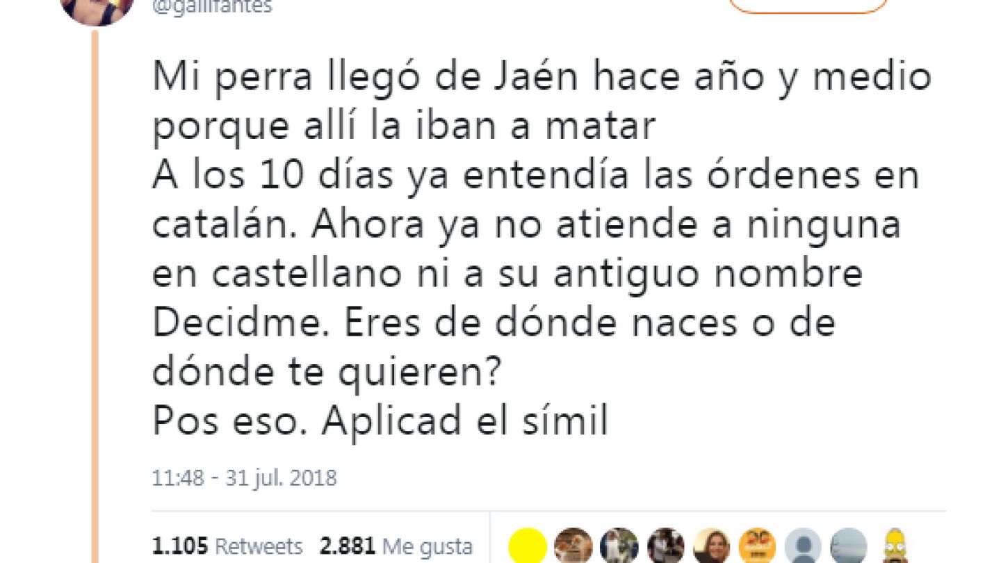 Una twittera revoluciona las redes.