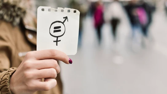 Feminismo Feminismo