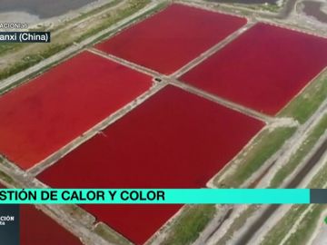 Lajos rojos en China. Lajos rojos en China.