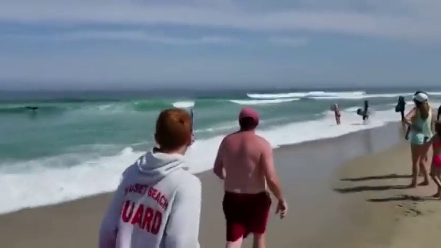 Las espectaculares im&aacute;genes de un tibur&oacute;n nadando en una playa surfista de Massachusetts