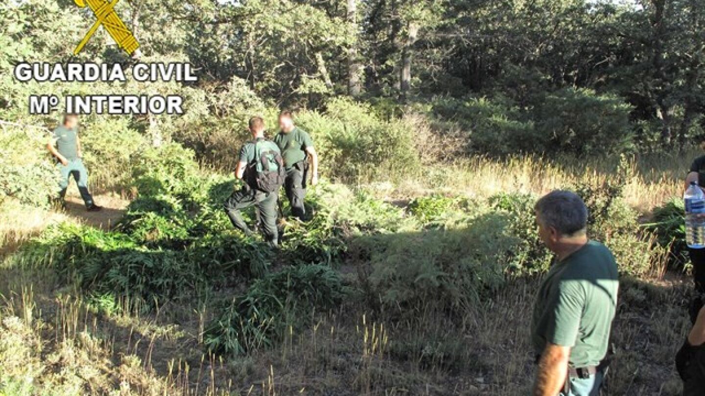 En la imagen la Guardia Civil en las proximidades de un cortijo de Busqu&iacute;star
