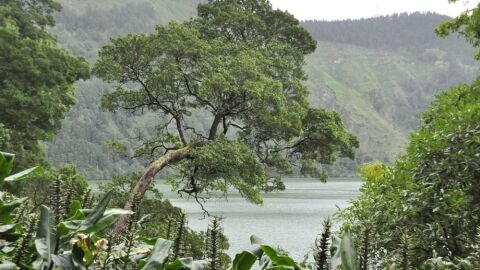 Sao Miguel