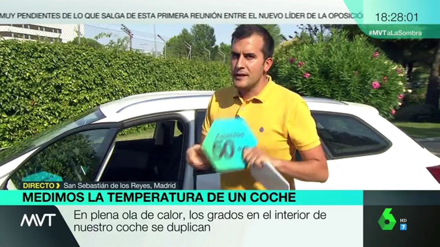 COCHE COCHE
