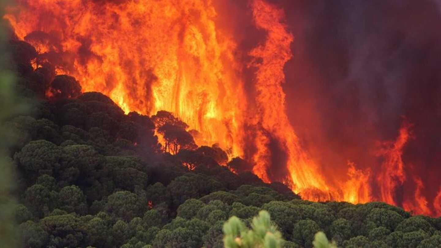 Incendio en Moguer (Huelva)